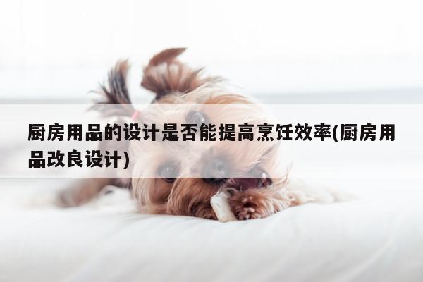 ayx爱游戏官网|厨房用品的设计是否能提高烹饪效率(厨房用品改良设计)