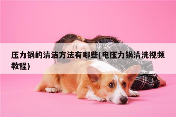 压力锅的清洁方法有哪些(电压力锅清洗视频教程)|爱游戏app