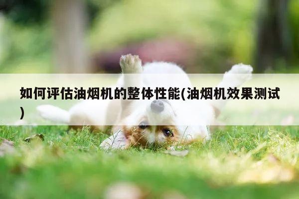 如何评估油烟机的整体性能(油烟机效果测试)|ayx爱游戏