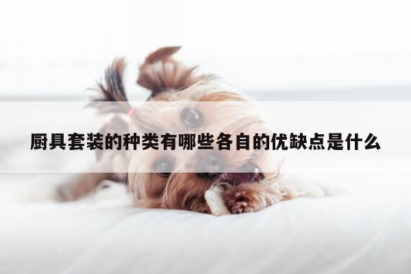 【爱游戏app】厨具套装的种类有哪些各自的优缺点是什么